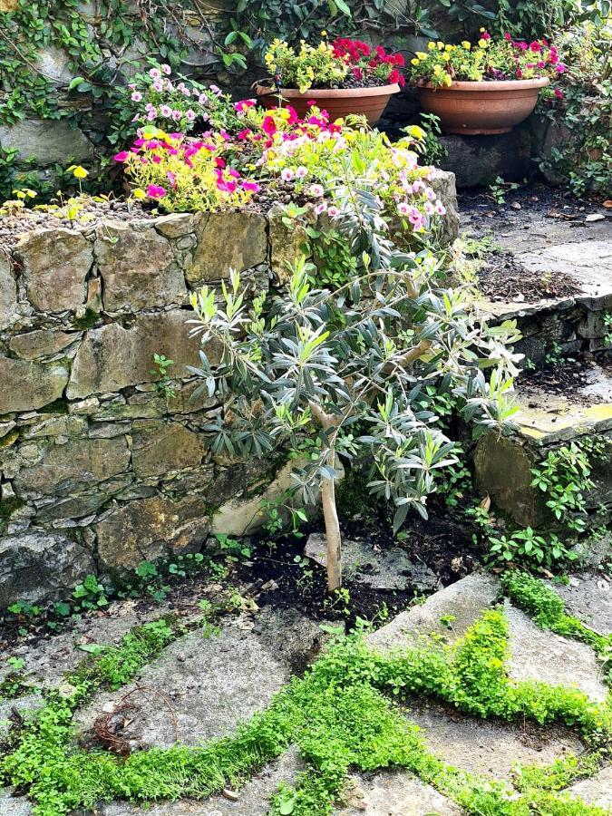 Lovely House Santa Margherita Ligure Esterno foto
